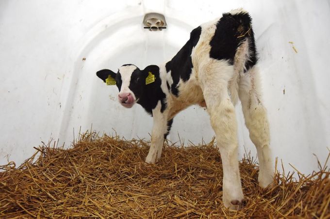 Гомельский химзавод поздравил коллектив «Морозовичи-Агро» с профессиональным праздником