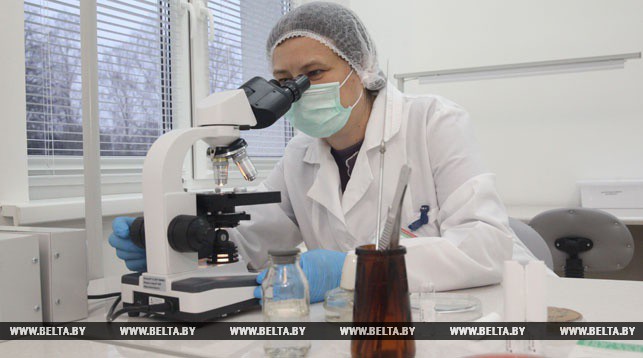 Александр Лукашенко и Ильхам Алиев заявили о переходе отношений Беларуси и Азербайджана на качественно новый уровень