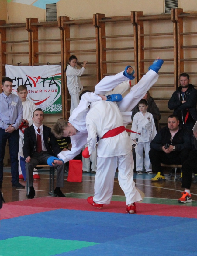 В Мозыре прошли ХХ республиканские юношеские соревнования по каратэ-до «Кубок Полесья»